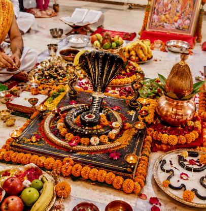 Kaal Sarp Dosh Nivaran Puja